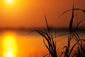 Sunset sky on the lake photo