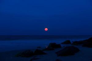 azul sangre lunar foto