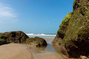 Green algae on rocks photo