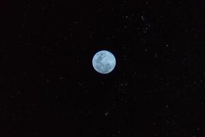 blue blood lunar photo