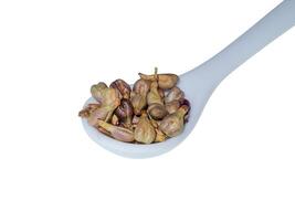 Close up seed of grape. photo