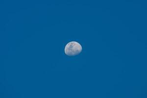 The moon in the blue sky. photo
