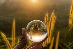 Crystal in hand at sunset with flower grass. photo