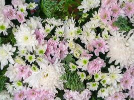 Flower arrangement with chrysanthemum photo