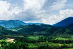 Green forest view on the Mountain. photo