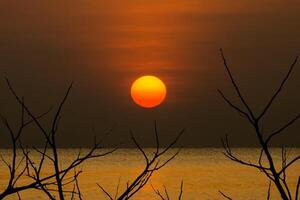 Sunset sky on the lake photo