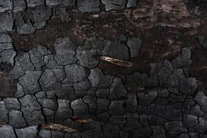 Details on the surface of charcoal. photo