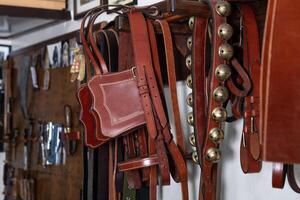 pieces of leather that are used to drive horses photo