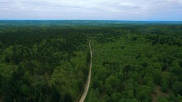 Aerial view of a long winding road through a dense green forest. video