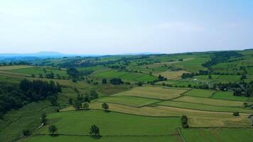 Aerial view of lush green countryside with patchwork fields under a clear blue sky. video