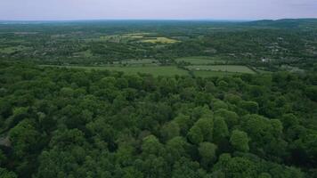 aéreo ver de un lozano verde paisaje con denso bosques y abierto campos debajo un nublado cielo. video