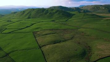 aéreo Visão do exuberante verde rolando colinas com patchwork Campos e cercas, debaixo uma nublado céu. video