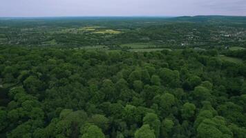 Aerial view of a lush green forest canopy with a distant horizon under a cloudy sky. video