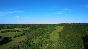 antenn se av frodig grön landsbygden med klar blå himmel. video