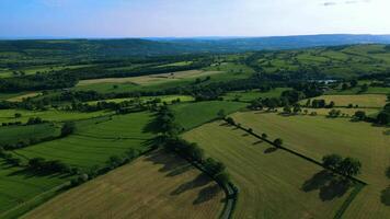 aereo Visualizza di lussureggiante verde campagna con i campi e alberi sotto un' blu cielo con nuvole. video