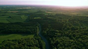Aerial view of a meandering river through lush forests at sunset with soft light casting over the landscape. video