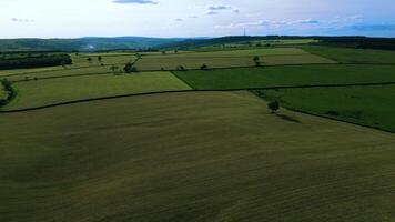 aérien vue de luxuriant vert les terres agricoles avec patchwork des champs en dessous de une clair ciel. video