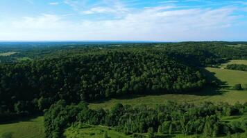 Aerial view of a lush green forest under a clear blue sky. video