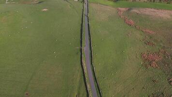Aerial view of a rural road dividing green fields with contrasting textures and colors, suitable for themes of division, journey, or nature. video