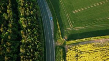 Aerial view of a car driving on a road between lush green fields and a dense forest. video