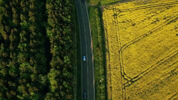 Aerial view of a scenic road cutting through vibrant yellow rapeseed fields with contrasting patches of greenery. video