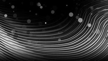 White and Black color shiny parallel lines background video