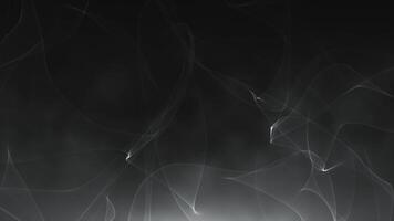 White and Black color smoke moving upwards with abstract pattern particles abstract background video