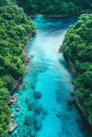 AI generated A blend of turquoise waters and lush greenery transports you to a tropical paradise seen from above photo