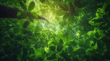 AI generated Earthy greens and intricate leaf patterns replicate the enchanting ambiance beneath a dense forest canopy photo