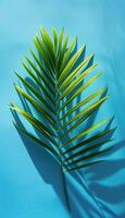 AI generated palm leaf on blue background photo