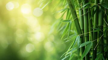 AI generated A play of subtle greens and soft bamboo textures convey the serenity of a bamboo forest rustling in the breeze photo