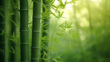 AI generated A play of subtle greens and soft bamboo textures convey the serenity of a bamboo forest rustling in the breeze photo