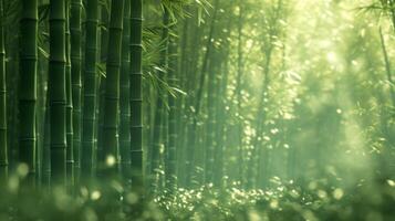 AI generated A play of subtle greens and soft bamboo textures convey the serenity of a bamboo forest rustling in the breeze photo