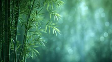 AI generated A play of subtle greens and soft bamboo textures convey the serenity of a bamboo forest rustling in the breeze photo