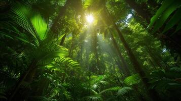 AI generated Lush, emerald rainforest canopy, a serene paradise for eco-tourism and adventure seekers. photo