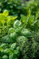 ai generado un hierba jardín, aromático y diverso, floreciente con albahaca, menta, Romero, y tomillo foto