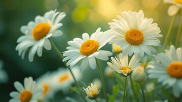 AI generated A close-up of a daisy chain, symbolizing the simple beauty of springtime traditions. photo