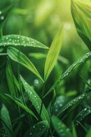 AI generated Abstract natural beautiful background photo
