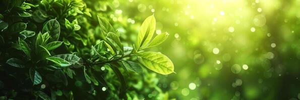 AI generated Abstract natural beautiful background photo