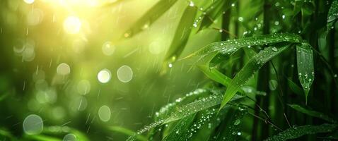 AI generated bamboo plants with dew droplets in sunlight photo