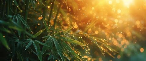 AI generated bamboo plants with dew droplets in sunlight photo