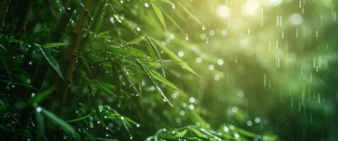 AI generated bamboo plants with dew droplets in sunlight photo