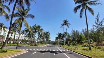 tropisch palm bekleed straat met Doorzichtig blauw luchten, ideaal voor reizen en vakantie themed video projecten