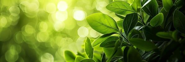 AI generated Abstract natural beautiful background photo