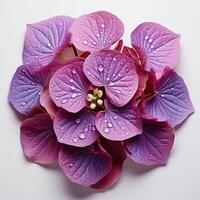 AI generated Purple Flower With Water Droplets photo