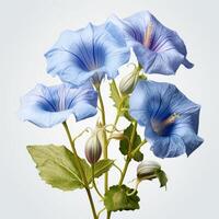 AI generated Three Blue Flowers With Green Leaves in a Vase photo