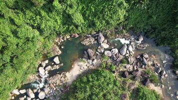 aérien tropical rivière Cascade dans forêt tropicale video