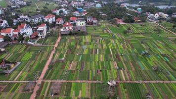da nang aéreo, rural Vietnam granjas video