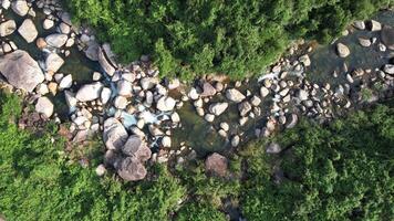 Aerial Serene Forest Stream   Tranquil Nature video