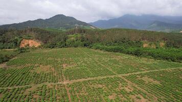 Aerial Farm Fields and Forested Hills video